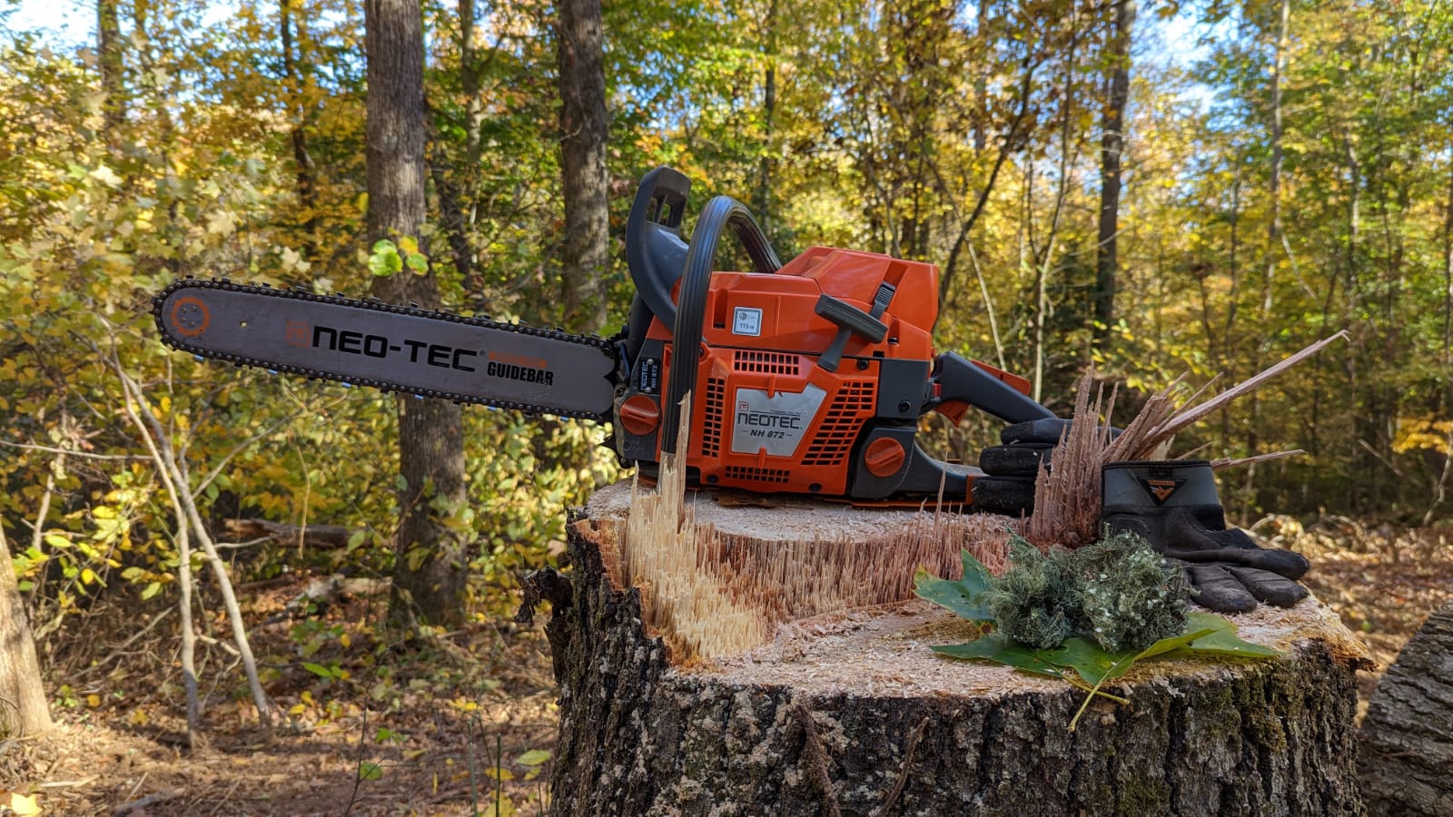 Neotec Gas Chainsaw Piston Cylinder Carburetor Fails Analysis Guide for All Types Including Stihl and Husquvarna