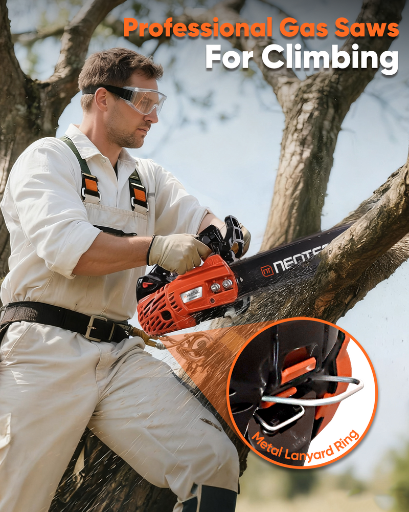 6_cf7817bc-dfb2-486f-b377-