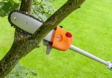 Safe High-Limb Trimming
