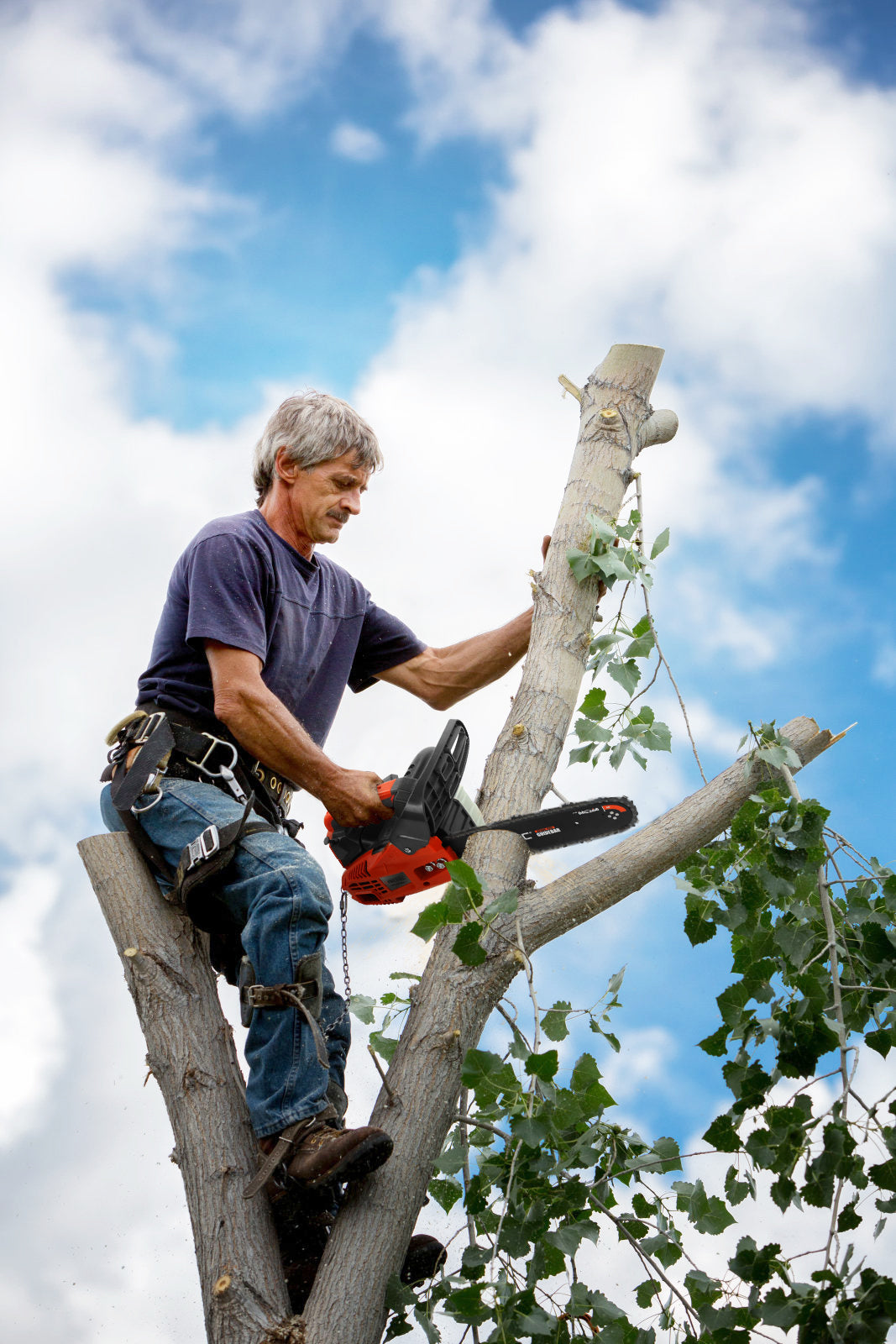 Neotec NCS2500 25.4cc chainsaw safety features